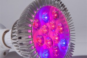 المريخ-هيدرو-led-grow-light-par-38_副本
