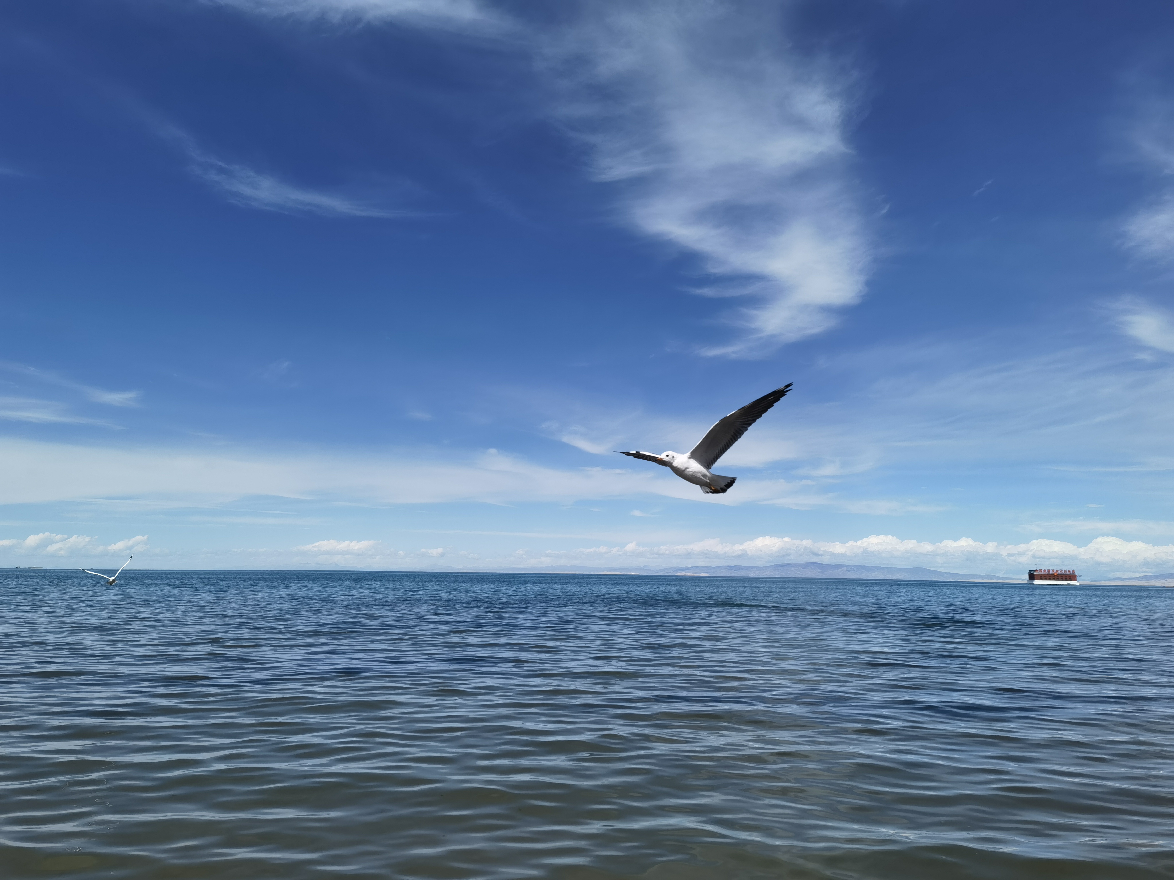 الصورة_2021093017501023