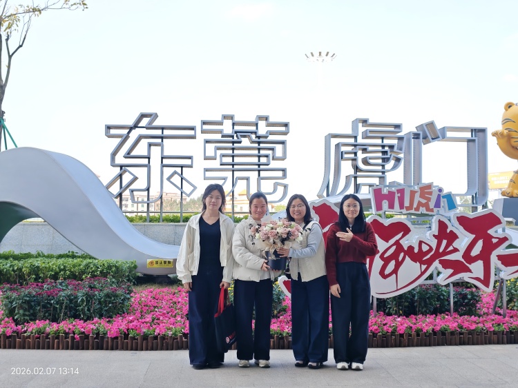 تكنولوجيا المعلومات والاتصالات لوسي من هونان